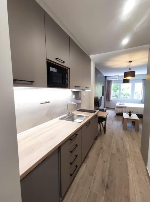 Luxury 2 Apartment